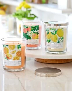 Hallmark Tropical Escape 3-Wick Jar Candle (16 Oz.) -Toy store 000500 1000584485 NoColor ALT3