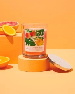 Hallmark Tropical Escape 3-Wick Jar Candle (16 Oz.)