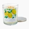 Hallmark Lemon Grove 3-Wick Jar Candle