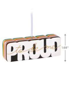 Hallmark Proud To Be Me Porcelain Ornament -Toy store 000500 1000617329 NoColor ALT3