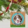 Hallmark Doggy In The Window 2023 Photo Frame Ornament