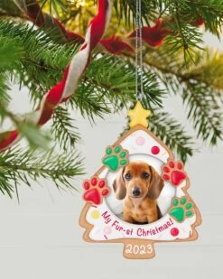 Hallmark My Fur-st Christmas 2023 Photo Frame Ornament