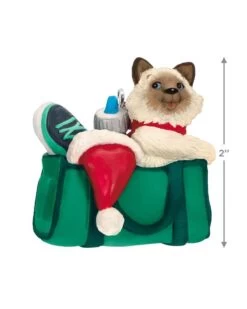 Hallmark Mischievous Kittens Ornament -Toy store 000500 1000621977 NoColor ALT3