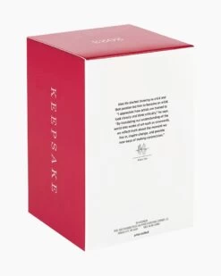 Hallmark Disney Peter Pan's Flight Off To Never Land! Ornament -Toy store 000500 1000622170 NoColor ALT5