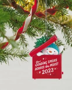 Hallmark Smiles Across The Miles 2023 Recordable Sound Ornament