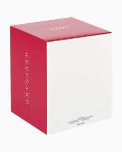 Hallmark Star Wars: The Book Of Boba Fett™ Riding Into The Battle Ornament 11 Hallmark Star Wars: The Book Of Boba Fett™ Riding Into The Battle Ornament -Toy store 000500 1000622245 NoColor ALT5