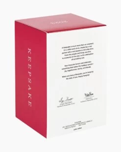 Hallmark National Lampoon's Christmas Vacation™ The Cousins' RV Funko POP!® Ornament -Toy store 000500 1000622263 NoColor ALT5