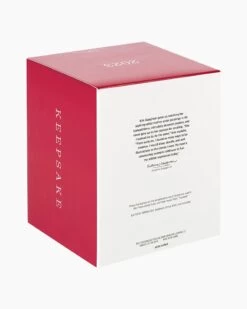 Hallmark Playful Penguins On Ferris Wheel Musical Ornament With Light And Motion -Toy store 000500 1000622309 NoColor ALT5